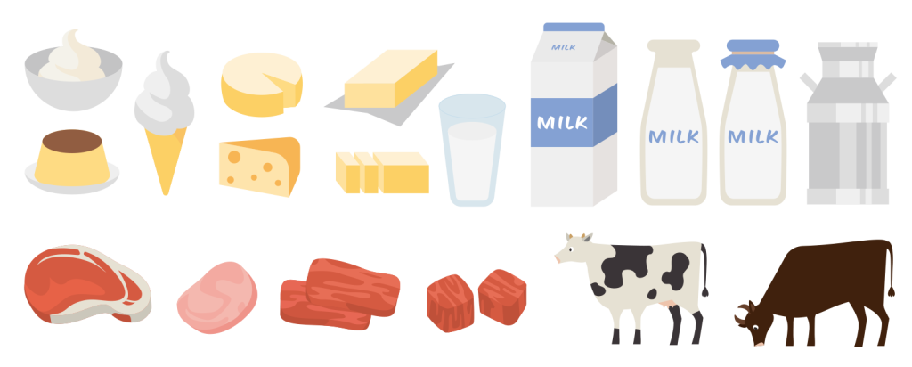 18-肉牛と乳牛の両方を飼えば、牛肉とミルクを自社で生産し、乳製品等を加工できるようになる